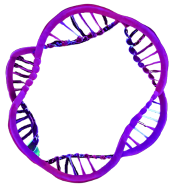 Logo for OMGenomics Labs